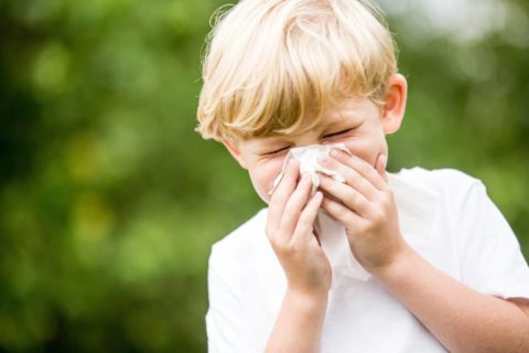 Heuschnupfen bei Kindern
